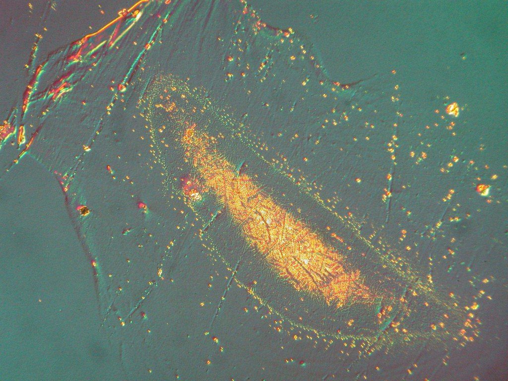 Lens coating defect 2 - Nomarski image