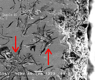 Metallographic Microscopy Metallographic Microscopy